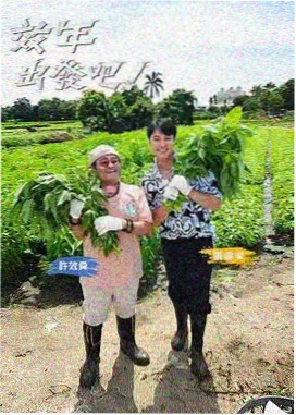 夜谈十三邀夏季综艺免费下载